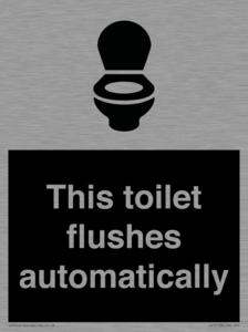 This toilet flushes automatically